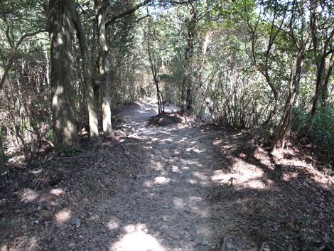 20140922hike (249)